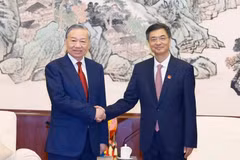 越共中央总书记、越南国家主席苏林会见中国广西壮族自治区党委书记陈刚。图片来源：越通社