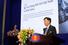 越南驻韩国大使武胡在研讨会上致辞
