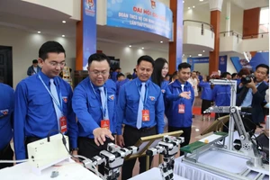 代表们参观岘港市青年创新、创造和“一乡一品”产品展览。