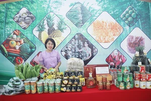 北宁省“一乡一品”产品。