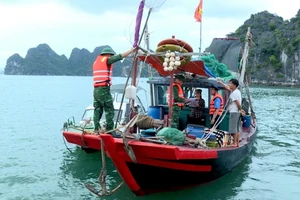 鸿基（Hòn Gai）港口岸边防哨所协同开展检查，处理在下龙湾非法从事水产捕捞活动的船只。