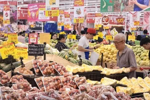 附图。（图片来源：越通社）