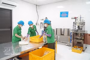 附图。（图片来源：越通社）