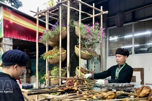 附图。（图片来源：越通社）