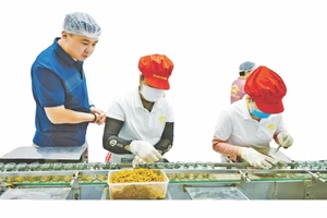 清真经济已成为全球增长最快的领域，年增长率达5.2%。