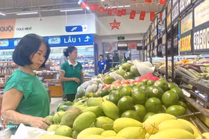 附图。（图片来源：越通社）