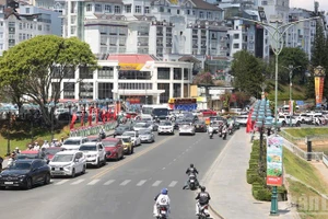 2026年丙午春节九天期间，林同省共接待游客约92.5万人次，同比增长32%，旅游收入约达1.85万亿越盾。