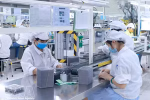 附图。（图片来源：越通社）
