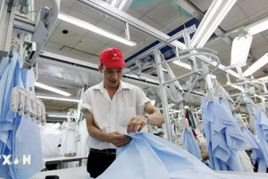 附图。（图片来源：越通社）