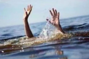 附图。（图片来源：越通社）