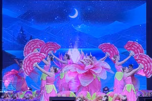 旅俄越南人艺术团的表演节目。（图片来源：越通社）