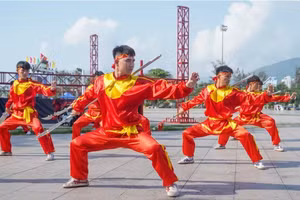 对武学的热爱精神被“武之乡”平定人民代代相传与发扬。（图片来源：越通社）