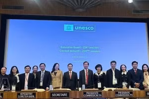 出席联合国教科文组织（UNESCO）执行局第224届会议的越南代表。（图片来源：越通社）