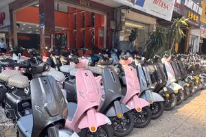 附图。（图片来源：越通社）