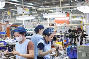 附图。（图片来源：越通社）