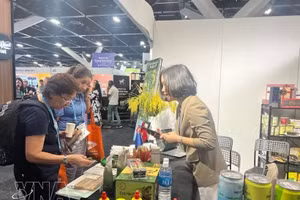 国际消费者对越南商品印象深刻。（图片来源：越通社）