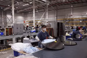 在清化省的INTCO工业（越南）有限责任公司（新加坡独资）工厂。