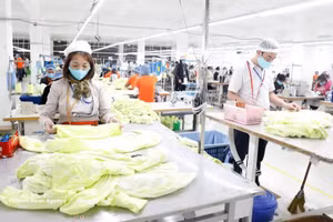 兴越服装公司（兴安省）纺织厂。（图片来源：越通社）