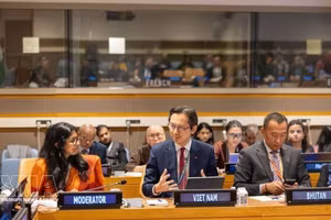 越南常驻联合国团团长杜雄越大使（中）在座谈会上发言。（图片来源：越通社）
