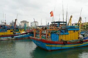 嘉莱省强化渔船管理 迈向可持续渔业发展。