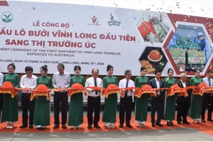 与会代表共同剪彩，公布永隆省首批柚子出口澳大利亚市场。