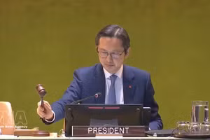 越南常驻联合国代表杜雄越。（图片来源：越通社）
