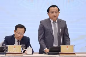 越南财政部副部长黎晋近在新闻发布会上发表讲话。（图片来源：越通社）