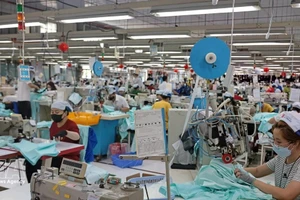 2025年，越俄双边贸易额达47.7亿美元。（图片来源：越通社）