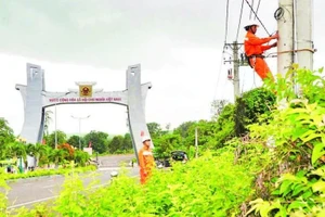 保障对柬埔寨拉达那基里省的友谊输电线路畅通无阻。（图片来源：越通社）