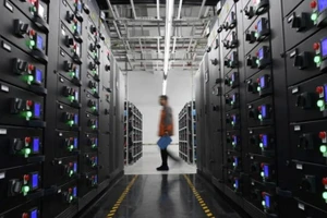 附图。（图片来源：新华社）