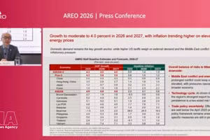 AMRO首席经济学家何东表示，越南较好地应对了去年美国关税政策带来的冲击。
