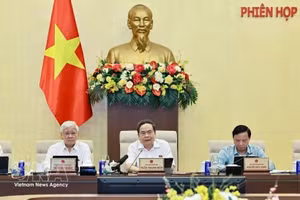 国会主席陈青敏发表讲话。（图片来源：越通社）