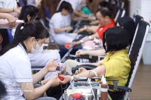 越南红色之旅,无偿献血,第72号决议。