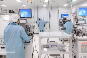 胡志明市高科技园区的电光高科技工厂生产活动。