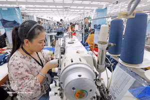 附图：出口服装产业为全国出口总额作出重要贡献。
