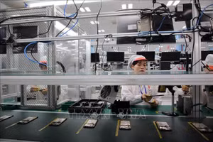 附图。（图片来源：越通社）