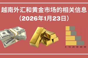 越南外汇和黄金市场的相关信息【图表新闻】