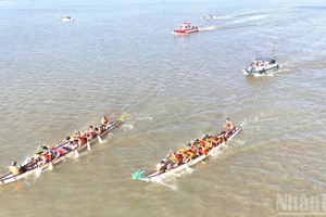 同奈河上精彩刺激的赛艇比赛【组图】