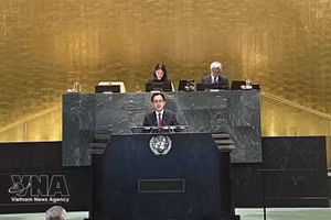 越南呼吁停止交战、维护航行安全并促进对话。