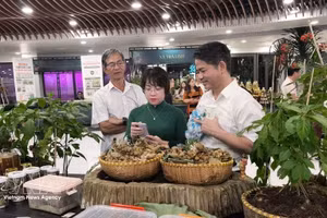 玉灵参及其产品展示区。
