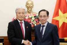 越南外交部长黎怀忠会见日本栃木县知事福田富和。（图片来源：越通社）