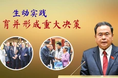 生动实践孕育并形成重大决策