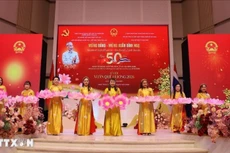 旅居泰国越南侨胞迎新年的艺术演出。（图片来源：越通社）