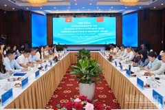 2026年中越边境旅游发展会谈场景。