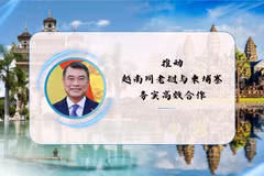 推动越南同老挝与柬埔寨务实高效合作