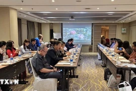 越南九龙江三角洲旅游促进会议现场。（图片来源：越通社）