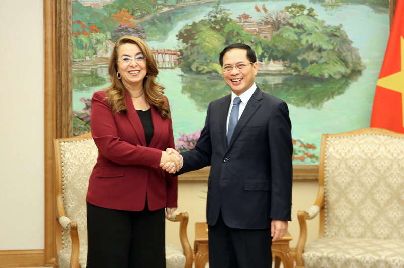 越南政府副总理裴青山与联合国副秘书长、联合国毒品和犯罪问题办公室执行主任兼联合国维也纳办事处主任加达·瓦利。（图片来源：VGP）