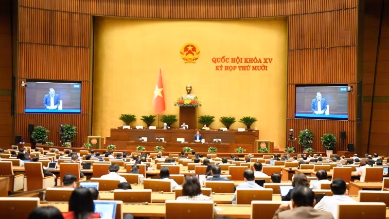 国会11月24日下午举行全体会议。（维灵 摄）