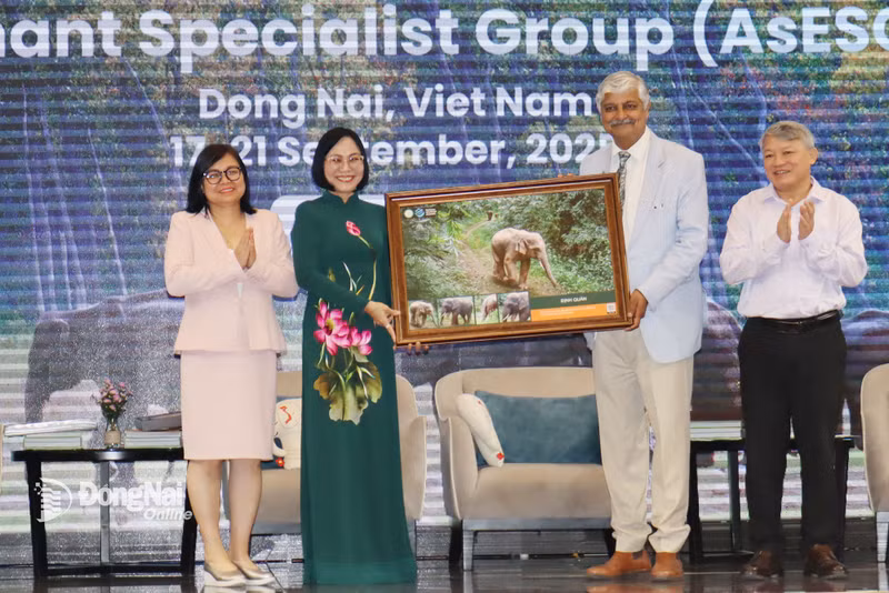 同奈省领导向亚洲象专家组赠送关于大象的图片。（图片来源：同奈报网）