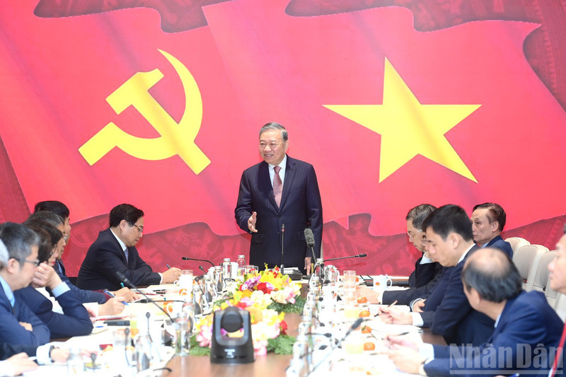 苏林总书记会见出席越共十四大的越南驻外大使和驻外机构首席代表